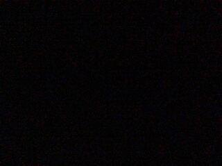 神楽様専用 ハンゾウ2枚