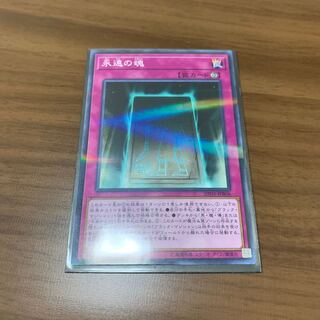 永遠の魂　Nパラ