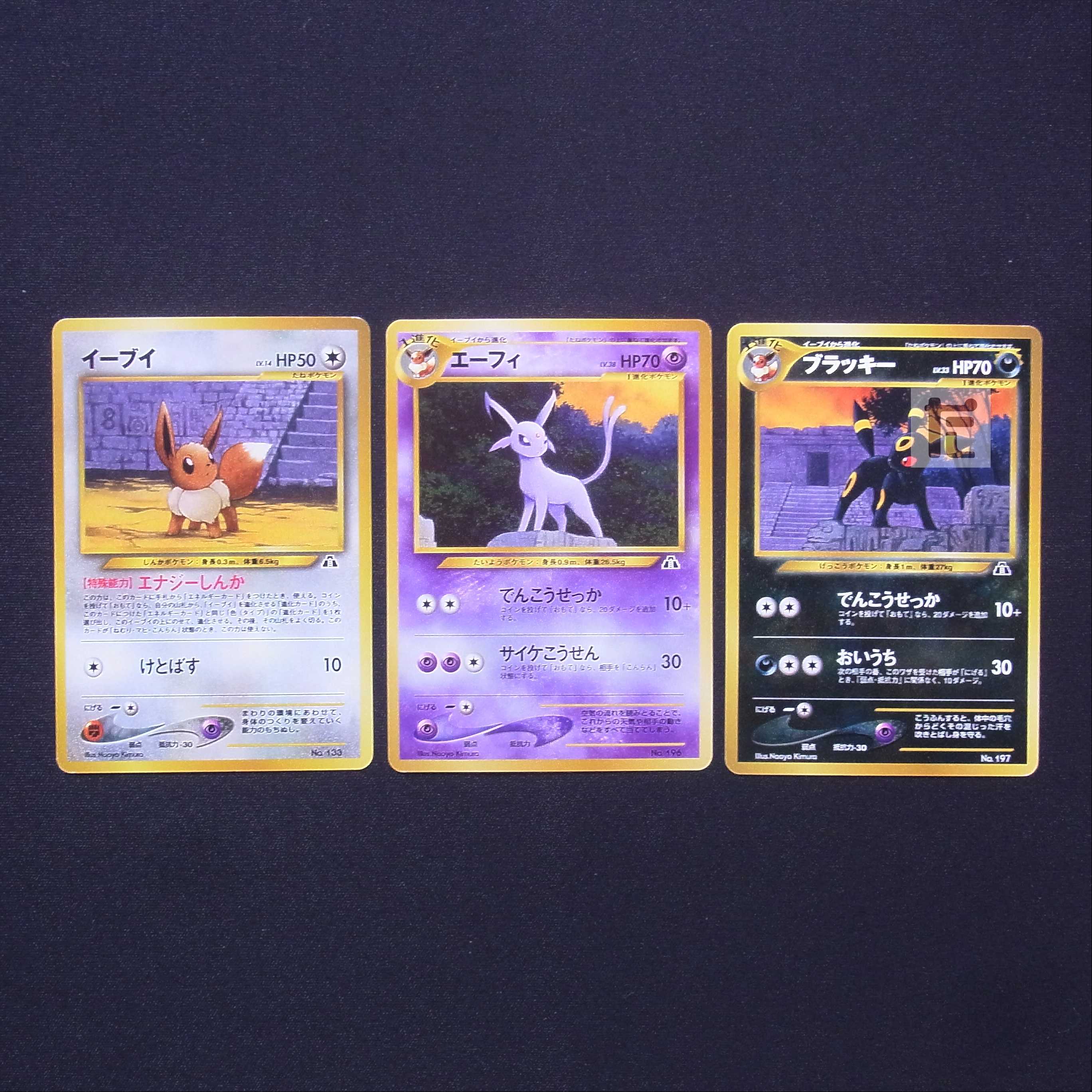 Eevee/Espeon/Umbreon old back premium file, set of 3/managed by MP6520