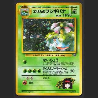 Erika's Venusaur LV.45 [Poor] old back/managed by MP6485
