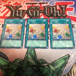 【もふもふ】化石調査