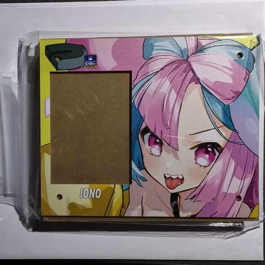 Nanjamo Acrylic Frame Display