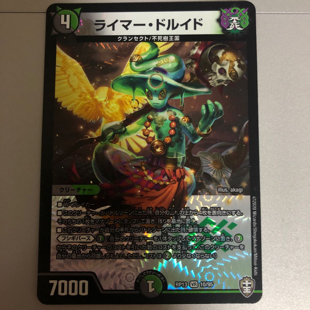 ライマードルイド