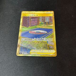 Training Court UR 127/100