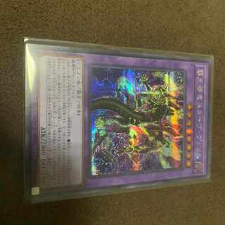 Yu-Gi-Oh, Ha-Oh,眷竜Starved Venom Secret Siku 1枚