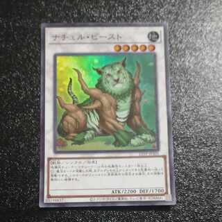 ナチュル・ビースト　スーパーレア JP201  【木林堂】 1枚