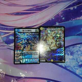 ｢絶対の楯騎士｣ ｢蒼刀の輝将｣