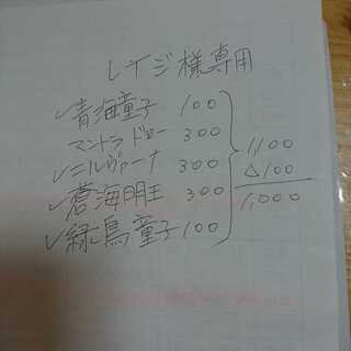 レイジ様専用 1枚