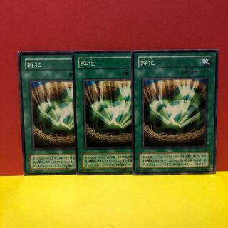 孵化　3枚　ノーマル　遊戯王　マホ子