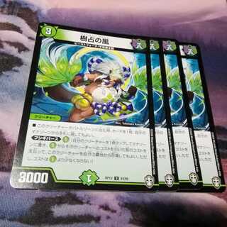 樹占の風　４枚　フォーチュンウィンド　アカマル