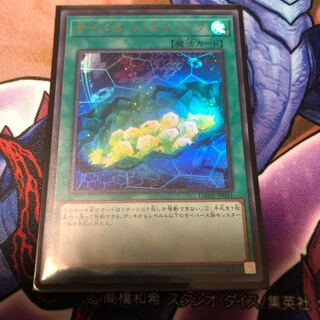 サイバネット・マイニング