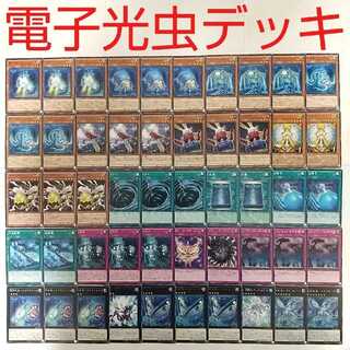 【遊戯王 デッキ】光虫異変 電子光虫コアベージ ライノセバス オネスト