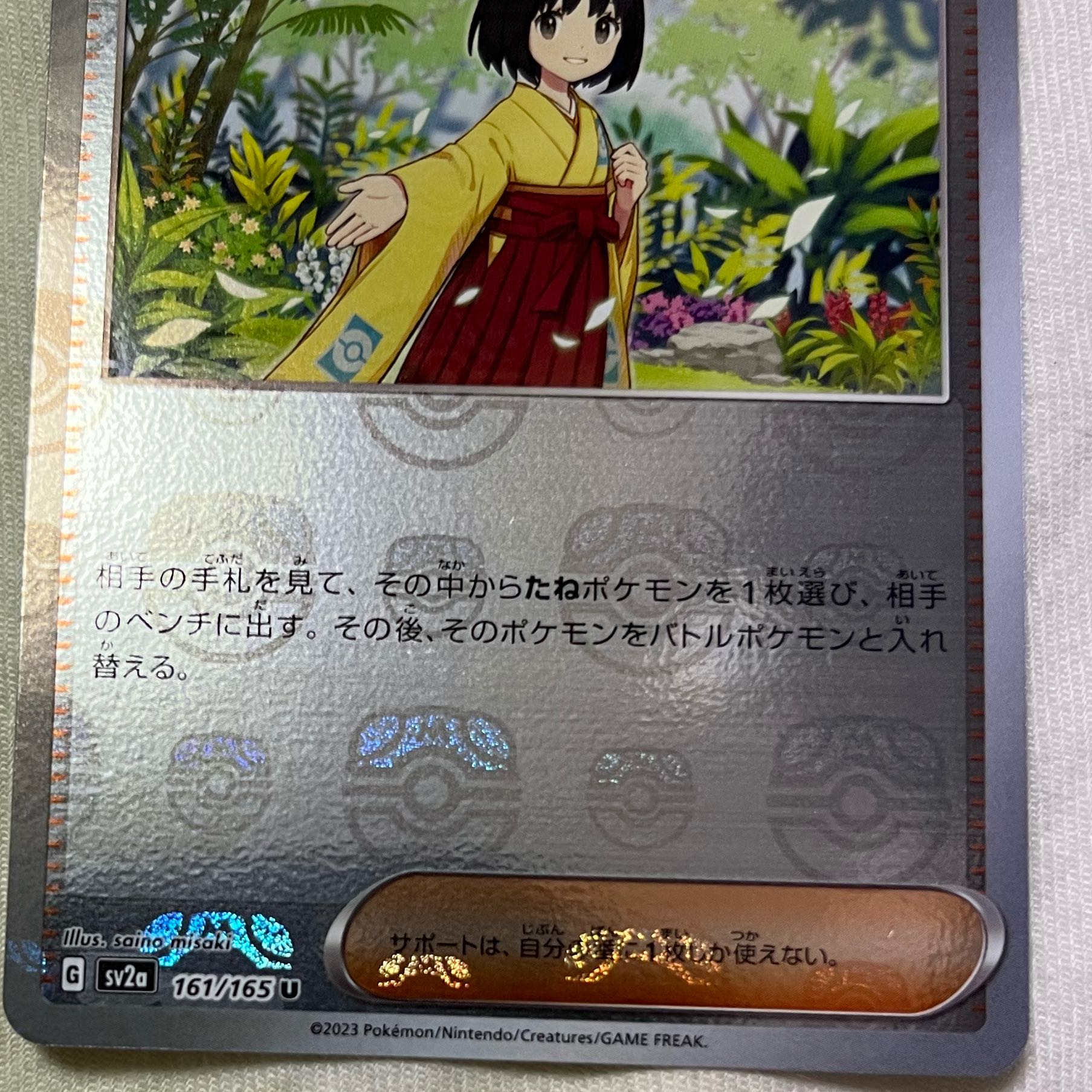 Erika's Invitation (Master Ball pattern/mirror) U 161/165