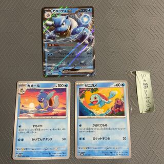 Blastoiseex RR 009/165