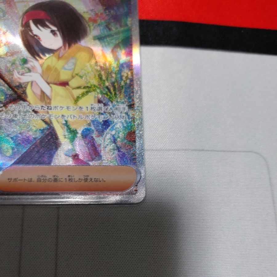 Erika's Invitation SAR