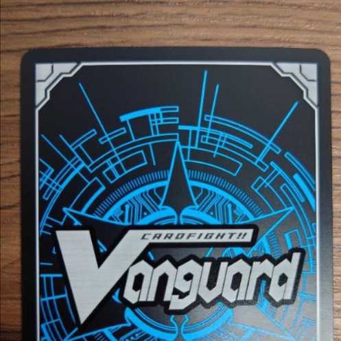 The Sword of Justice that Crimes Against Crime Teglia FFR