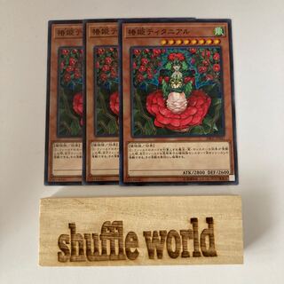 Tytannial, Princess of Camellias 670