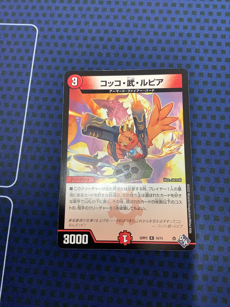 Cocco Bu Lupia R 19/74