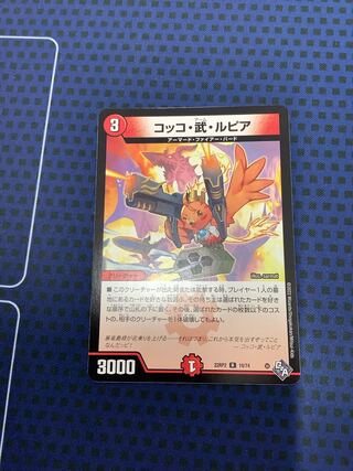 Cocco Bu Lupia R 19/74