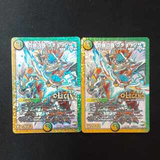 Chief of the Hundred Tribes Puchohenza SE L1(secret)1/L2