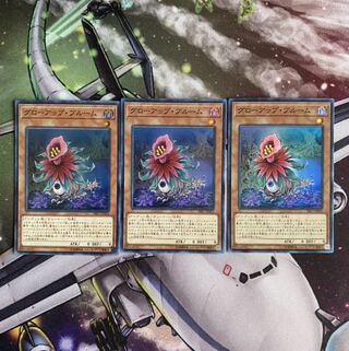 グローアップブルーム