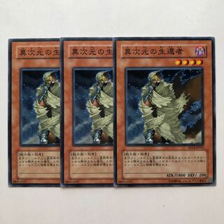 D.D. Survivor Normal JP013