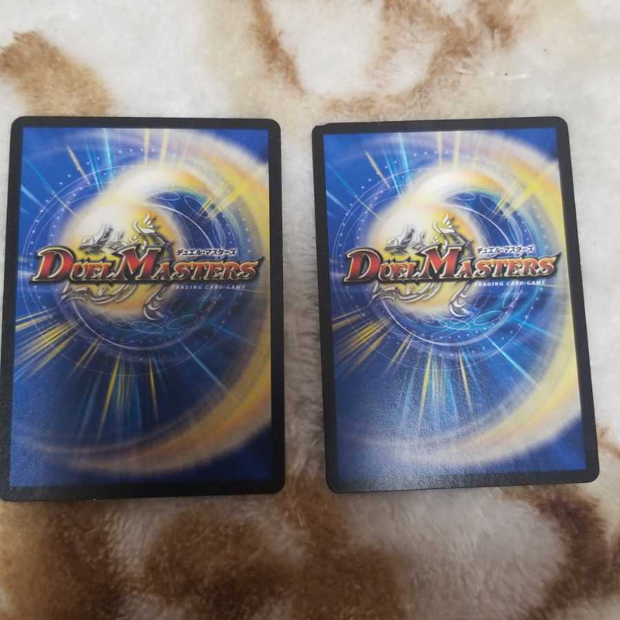 フェアリーライフ２枚