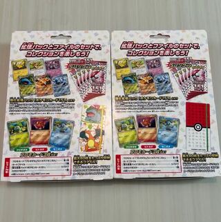 らおう様専用　リザードン　ファイルセット　2箱