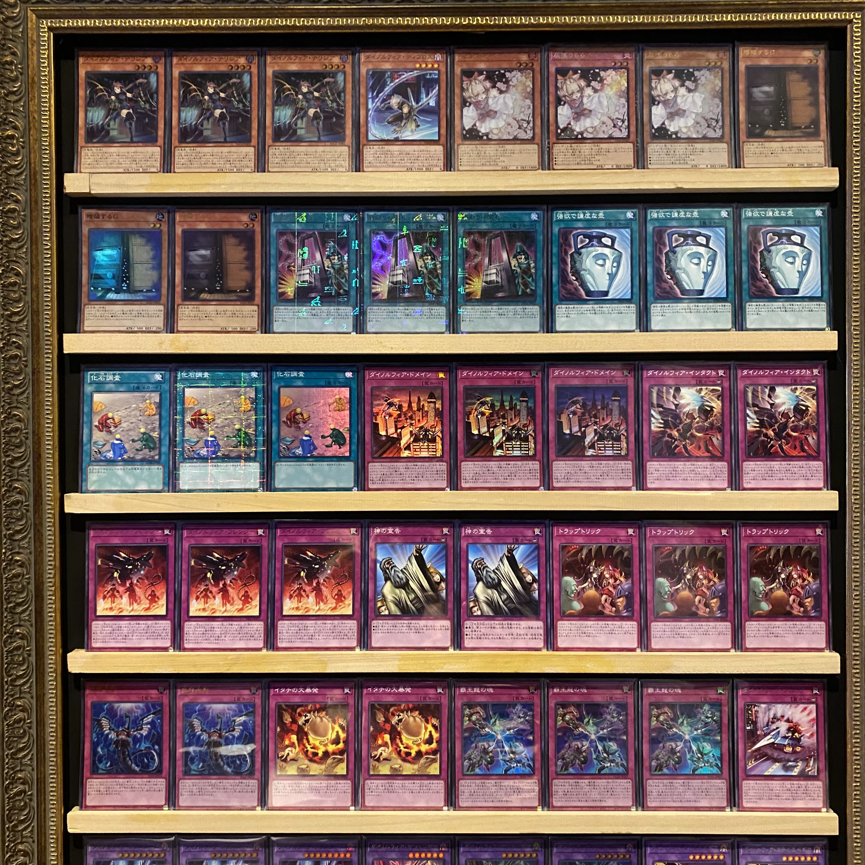 Ships immediately! [Haou Dinolfia] Deck Yu-Gi-Oh Dinolfia Kentoregina Dinolfia Stealthbegear Dinolfia Lextreme Dinolfia Terrigia Supreme King Z-ARC