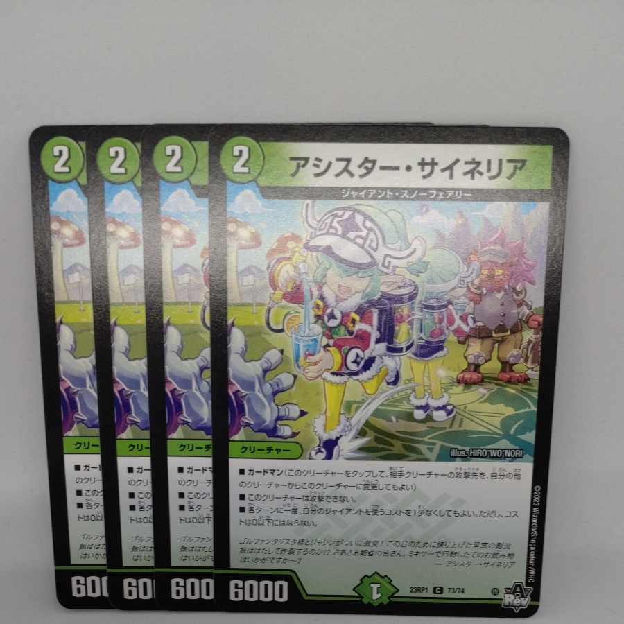 Assister Sineria C 73/74