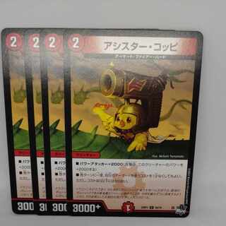 Assister Coppi C 68/74