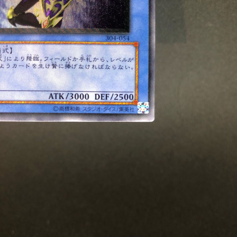 カオスソルジャー レリーフ 304-054