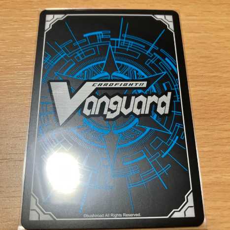 Snubbull Frontier Arce FFR