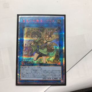 崔嵬の地霊使いアウス