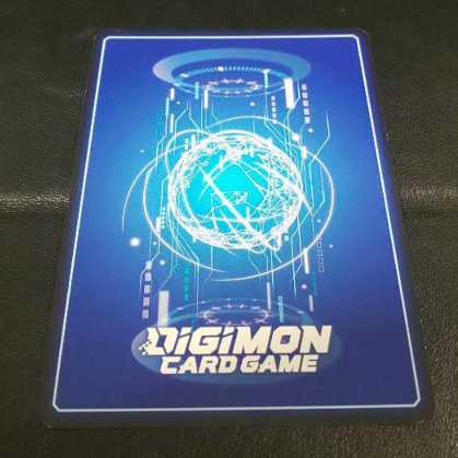 Parallel old digicam style Omegamon X antibody