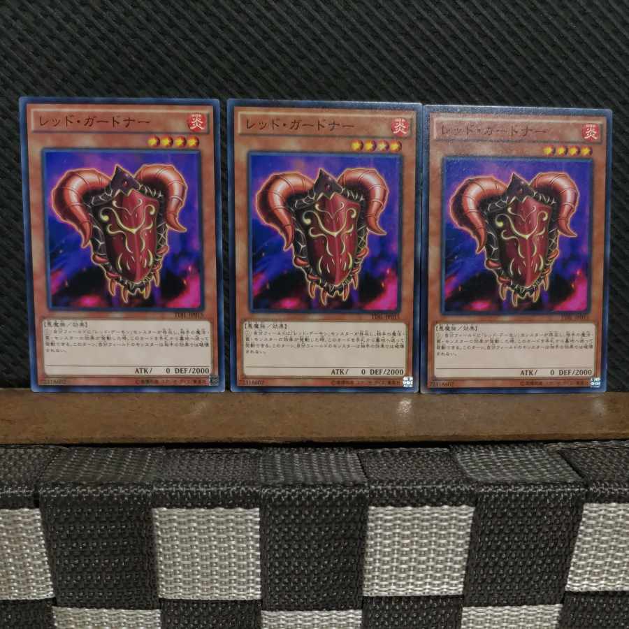 Popotan] Yu-Gi-Oh! 5800 Red Gardna Normal 3 copies