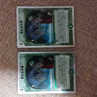 母なる大地 2枚