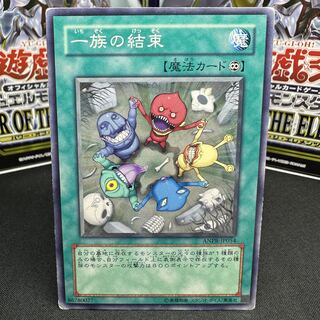 Solidarity Normal JP054