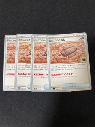 25.00 per piece old kora fossil C 155/165