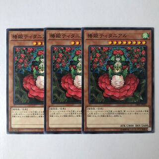 Tytannial, Princess of Camellias Normal JP041