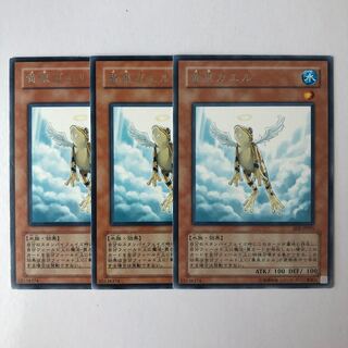 Treeborn Frog rare JP025