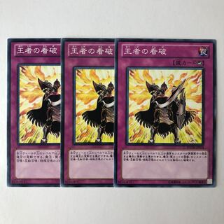 Champion's Vigilance Normal JP074