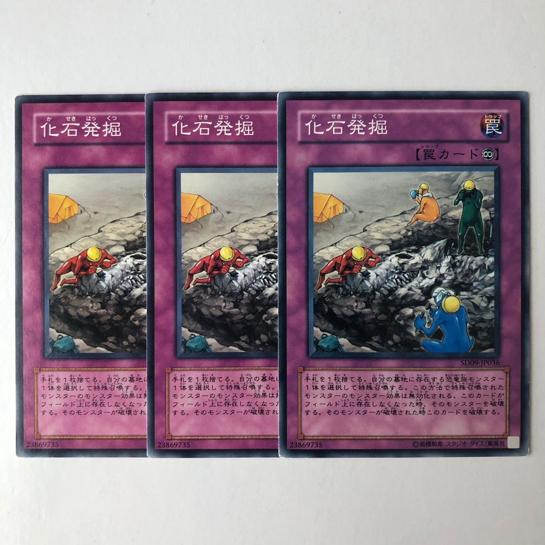 Fossil Excavation Normal JP036