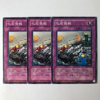 Fossil Excavation Normal JP036