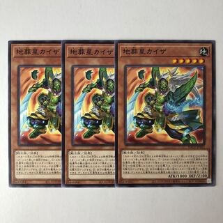 Kaiser, the Earth Burial Star Normal JP022