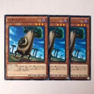 Baobaboon Normal JP034