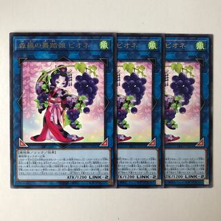 森羅の舞踏娘 ピオネ レア JP051