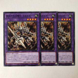 Fossil Warrior Skull Bone