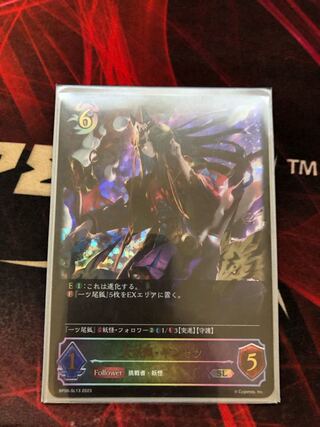 Daikokyu Ginsetsu SL 1 piece