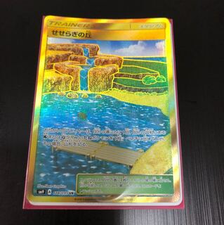 せせらぎの丘ur、格闘道場ur